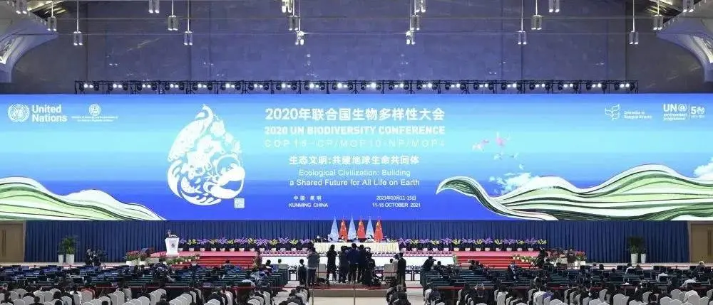 奥运14年,视诚相伴LED成长13年! 奥运14年,视诚相伴LED成长13年!