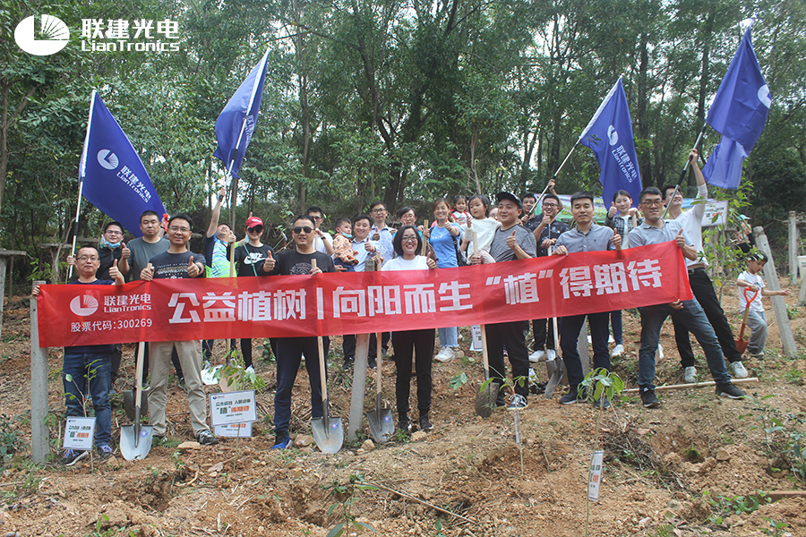 向阳而生 蓄力成林丨联建光电眼中，岂止“十年”树木