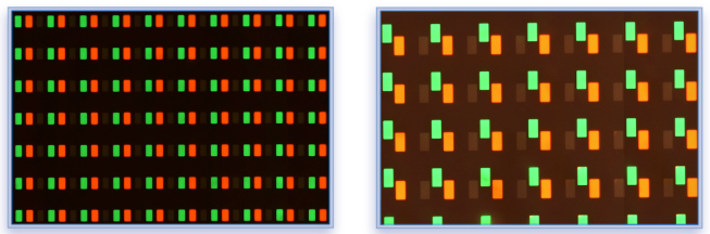 国星光电首位入选广东省国有重点企业