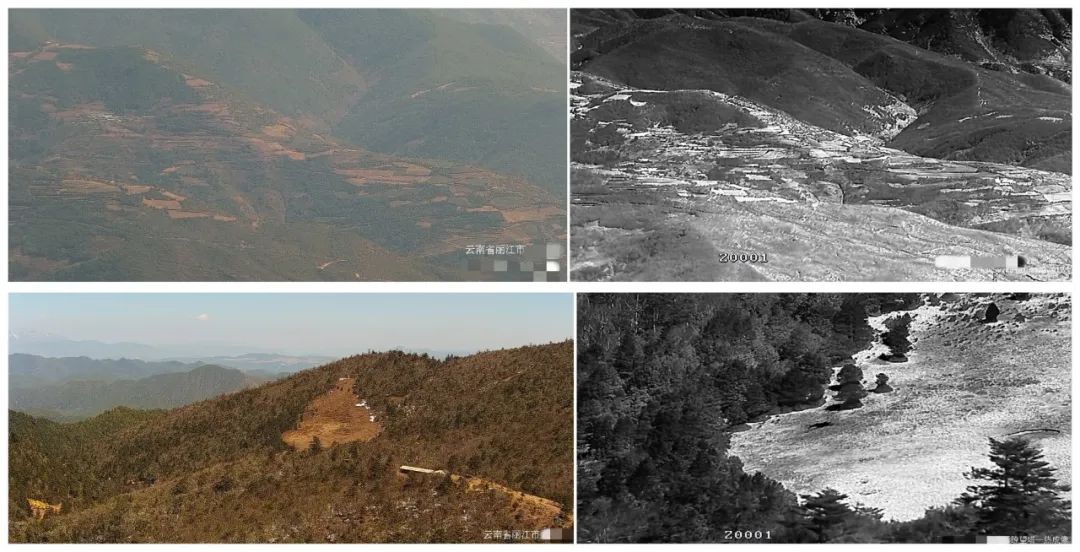 在云南丽江，海康威视守护万顷“绿海碧波”