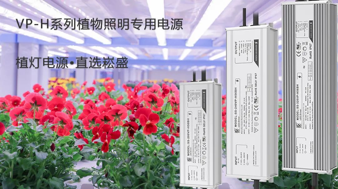 崧盛股份2021年营收突破11亿元 植物照明业务增长超四倍 崧盛股份2021年营收突破11亿元 植物照明业务增长超四倍