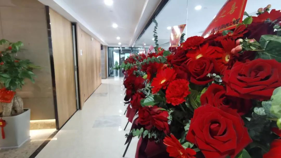 峥嵘十二载,携手向未来 | 视诚RGBlink新总部正式启用! 峥嵘十二载,携手向未来 | 视诚RGBlink新总部正式启用!