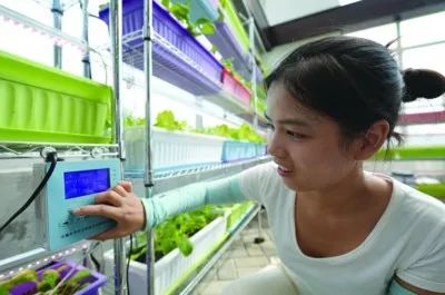 居家也能种菜，这项LED技术功不可没！