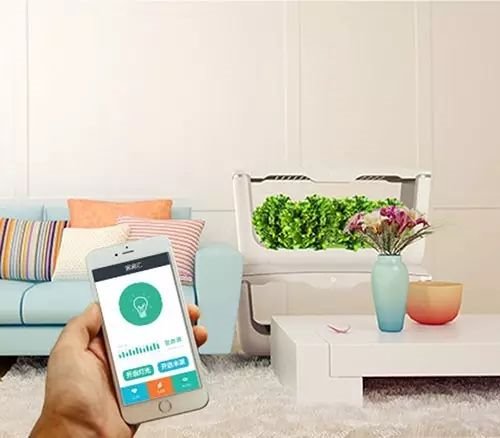 疫情封控之下，植物照明迎来发展契机