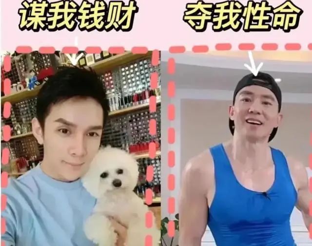 新晋“谋财害命”组合？！你们不愿再听《本草纲目》，而我们看到了LED显示屏的新商机！