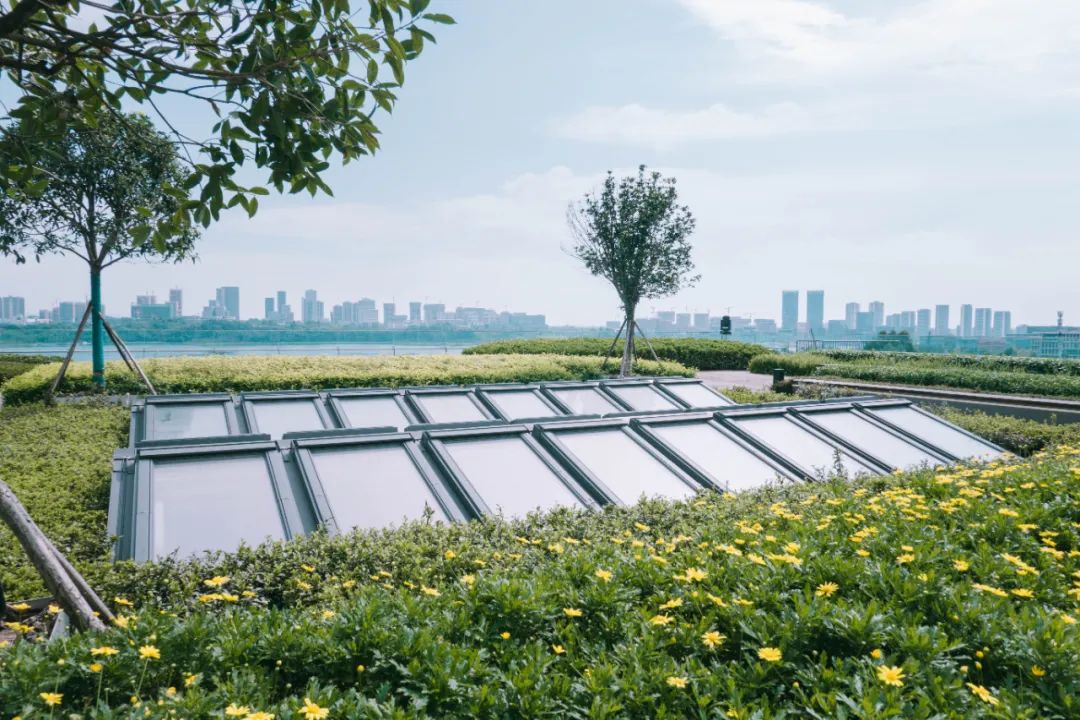 成都首个“近零碳建筑”来了！其中的照明这样设计……