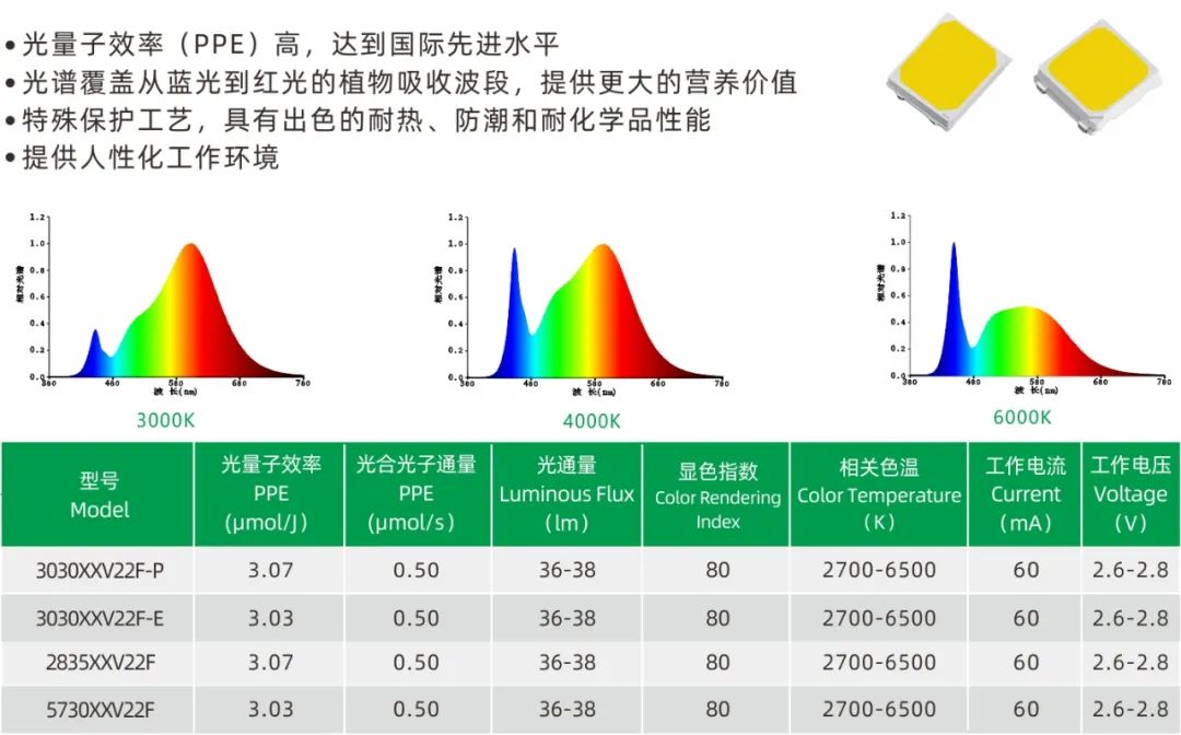 旭宇光电高光量子效率植物光照LED，获国际先进水平认定