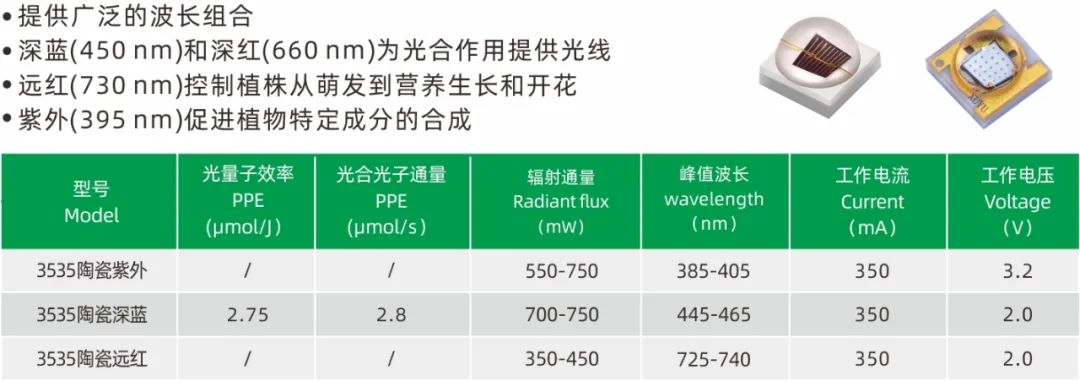 旭宇光电高光量子效率植物光照LED，获国际先进水平认定