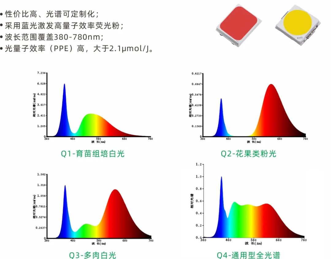 旭宇光电高光量子效率植物光照LED，获国际先进水平认定