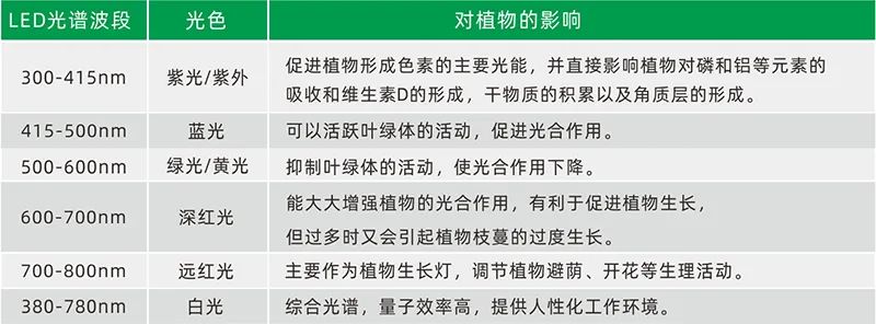 旭宇光电高光量子效率植物光照LED，获国际先进水平认定