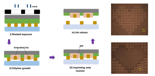 MicroLED巨量转移技术突破！聚灿光电拟募资12亿加注投入！