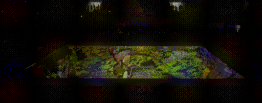 全国首次！裸眼3D灯光秀应用于大型篮球联赛