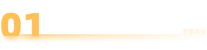 芯片设计行业也内卷？冬奥会“冰立方”芯片设计商视芯科技：高精尖研发实力明显不足，薄利多销抢客户