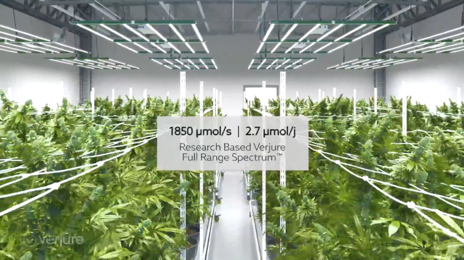 美国照明大厂Acuity Brands宣布进军植物照明市场