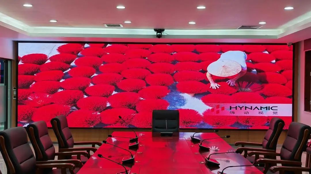 嗨 Focus | 易视分布式，集大成者