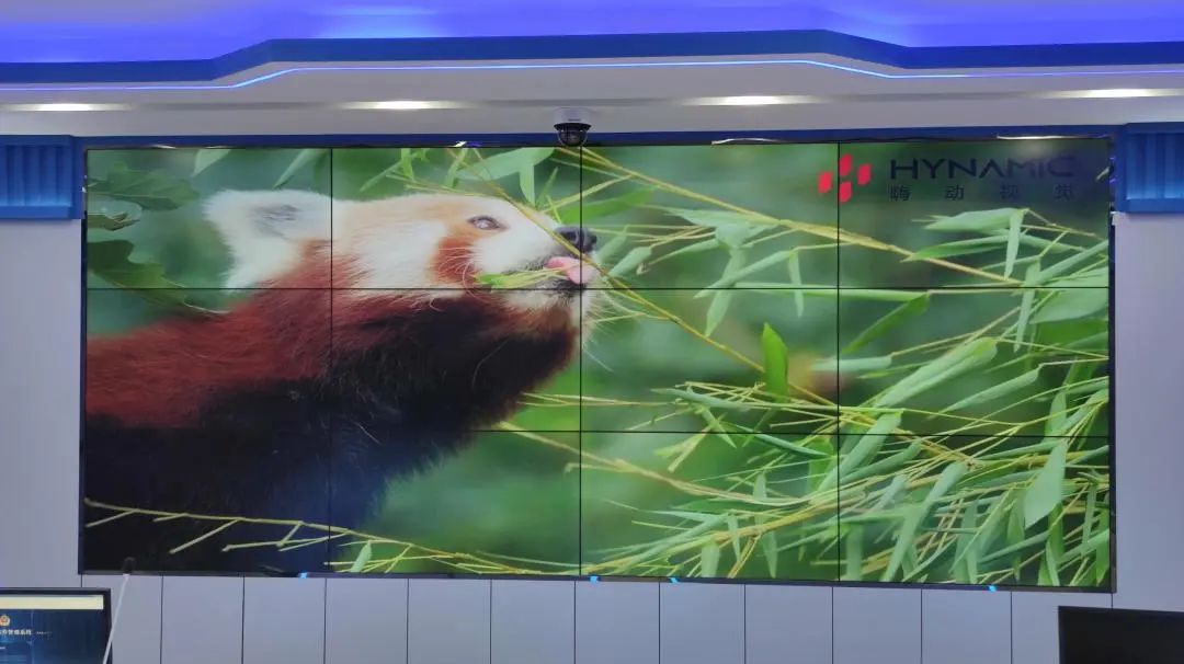 嗨 Focus | 蓄势闪耀，视界尽在掌控