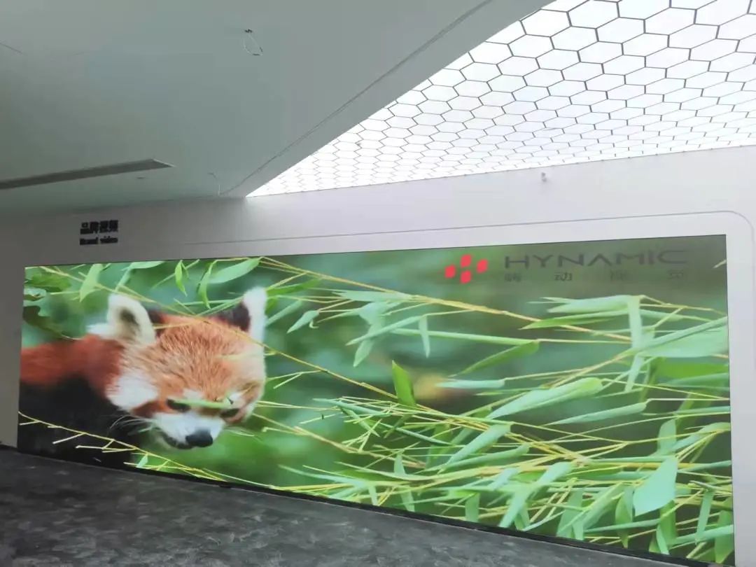 嗨 Focus | 蓄势闪耀，视界尽在掌控