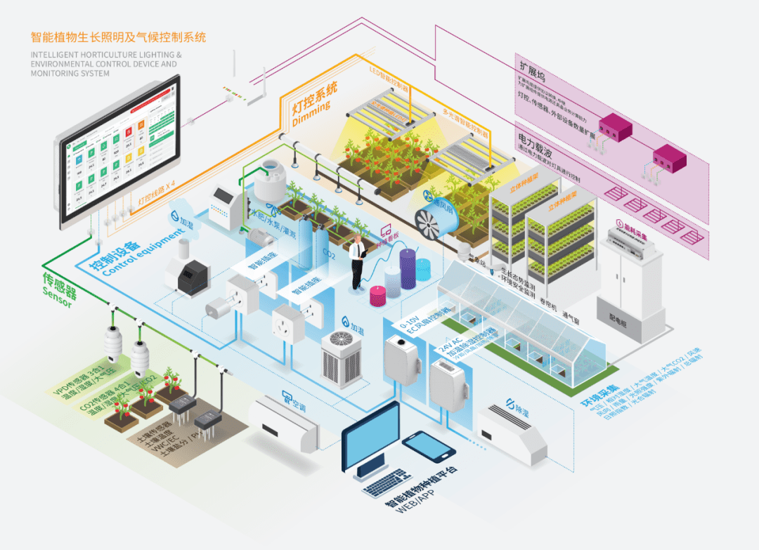  光谷企业研发“植物工厂”，用LED灯当“太阳”，可实现“外星种菜”，去年收入过亿