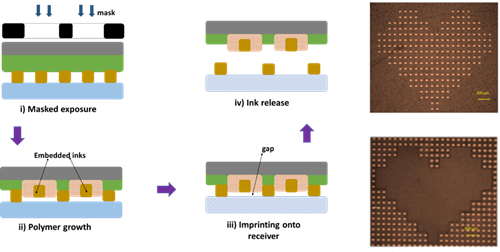 广东省科学院团队在Micro LED巨量转移技术等研究中获重要进展
