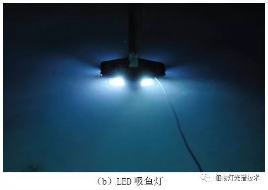 水下LED诱鱼灯设计与分析及其光传播（一）