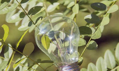 两部门:预计2030年LED等高效节能灯具使用占比超80% 两部门:预计2030年LED等高效节能灯具使用占比超80%