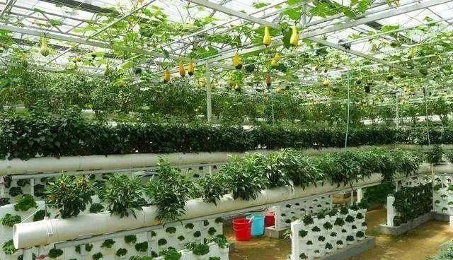 比尔盖茨成全球最大农场主，led植物照明的发展成必然趋势 