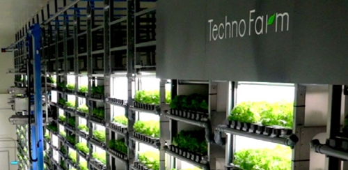 ​全球28家植物工厂/垂直农场动态盘点