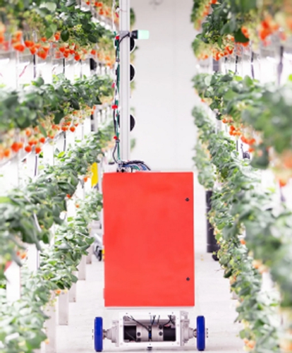 ​全球28家植物工厂/垂直农场动态盘点