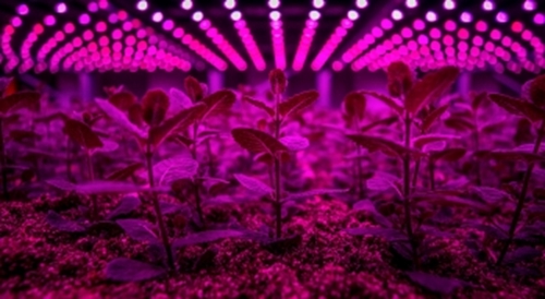 ​全球28家植物工厂/垂直农场动态盘点