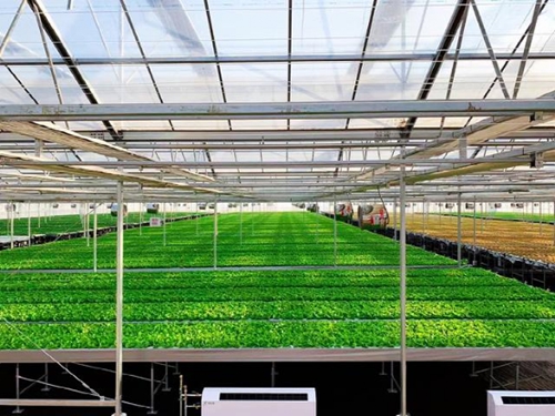 ​全球28家植物工厂/垂直农场动态盘点