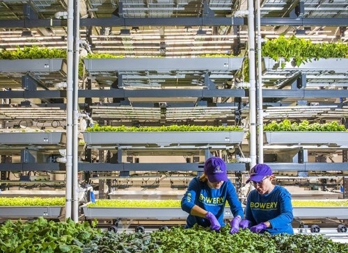 ​全球28家植物工厂/垂直农场动态盘点