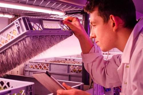 ​全球28家植物工厂/垂直农场动态盘点