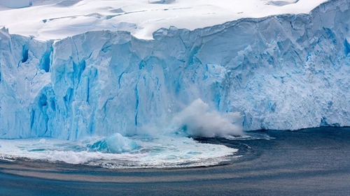 五大动能加持,LED植物照明“放长线钓大鱼” 五大动能加持,LED植物照明“放长线钓大鱼”