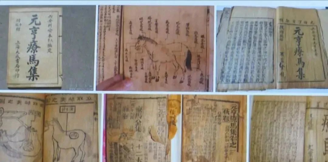 打破传统文博产业展示模式，营造完全沉浸式文化体验，解锁博物馆全新打开方式