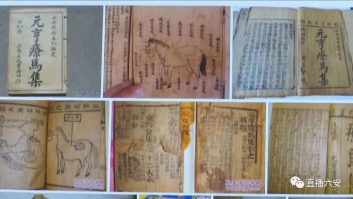 营造完全沉浸式文化体验，解锁博物馆全新打开方式