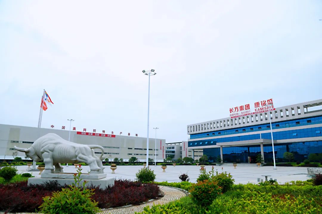 市场规模将达579亿元！这一细分领域已有4家上市照企，还将再添一员…