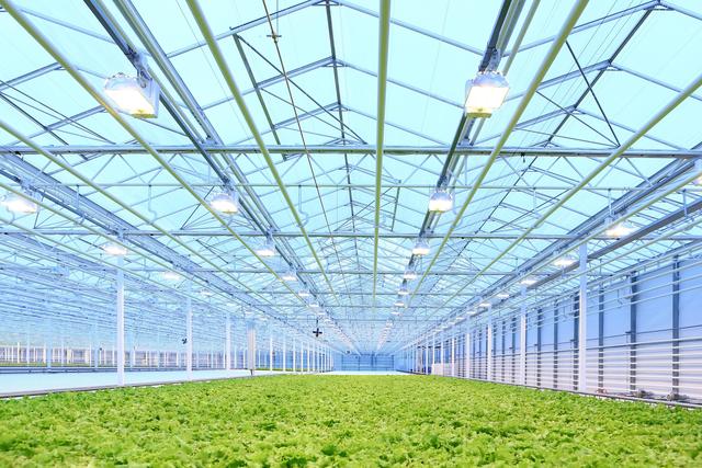 LED技术迅速发展 开创农业照明新篇章