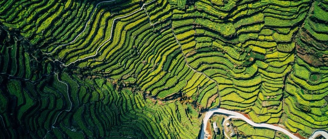 盛夏邀约覆卮山，欣赏月光梯田AR虚拟幻界元宇宙新文旅啦！！！