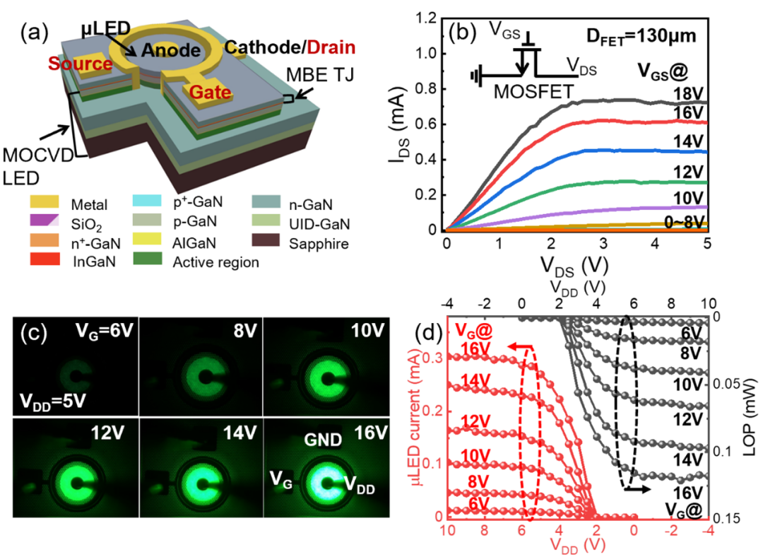 南京大学团队实现Micro LED用准垂直MOSFET驱动的全氮化物单片集成