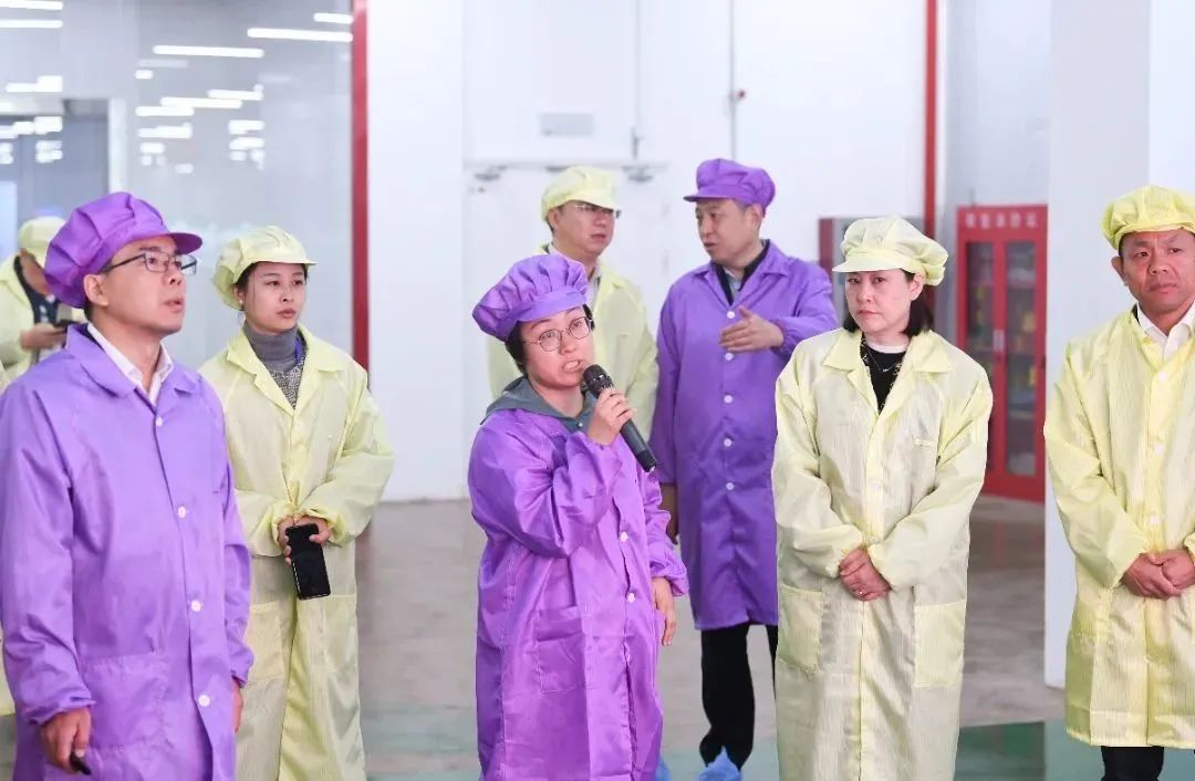 投资山西·三大经济圈全媒体记者山西行——新华网等多家媒体齐聚高科，探访山西高科LED高质量发展