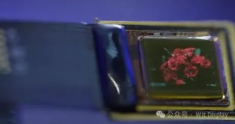 赛富乐斯将量产全彩Micro LED，峰值亮度50万nits