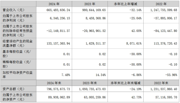 京东方、联建光电公布2024年业绩情况