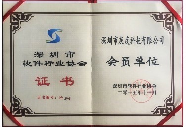  灰度科技