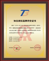品牌盛会十佳品牌——海佳彩亮
