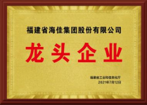 品牌盛会十佳品牌——海佳彩亮