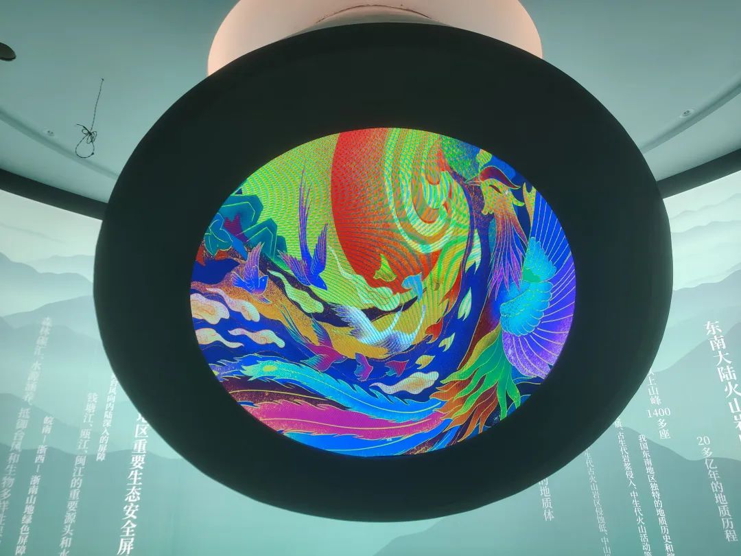小鸟科技羽控品牌 | 浙江地区臻选案例