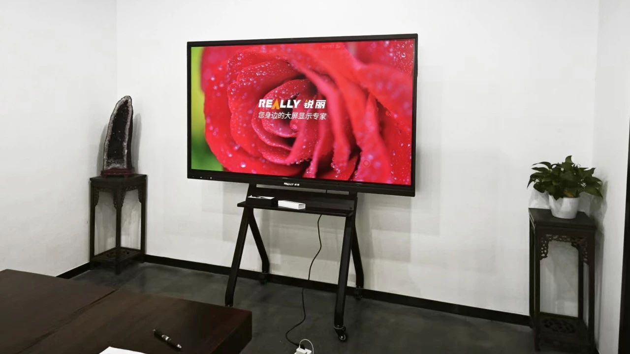 Really锐丽大屏幕25-6期案例节选