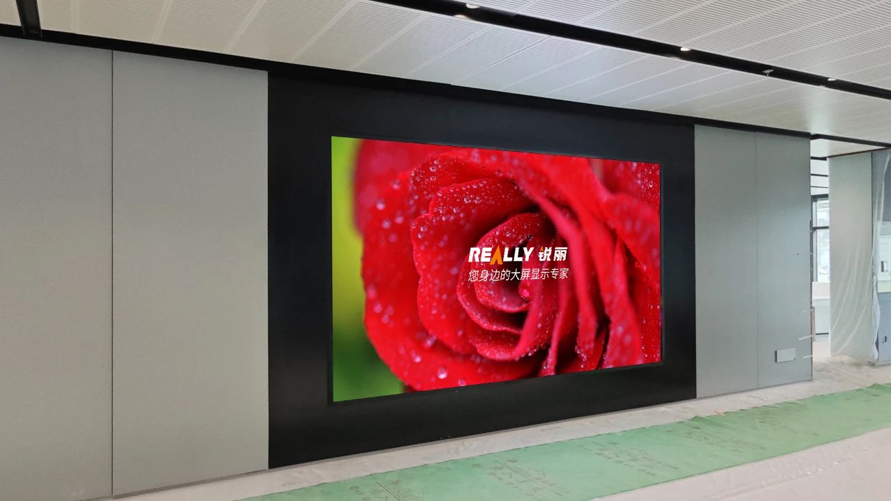 Really锐丽大屏幕25-6期案例节选