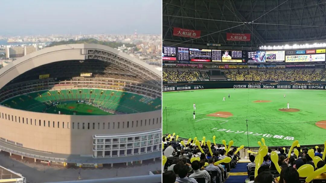 点亮世界，创造精彩：迈锐光电的品牌进化之路