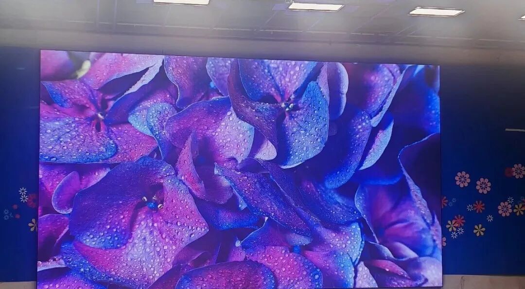 小鸟科技羽控品牌 | 北京地区臻选案例 小鸟科技羽控品牌 | 北京地区臻选案例